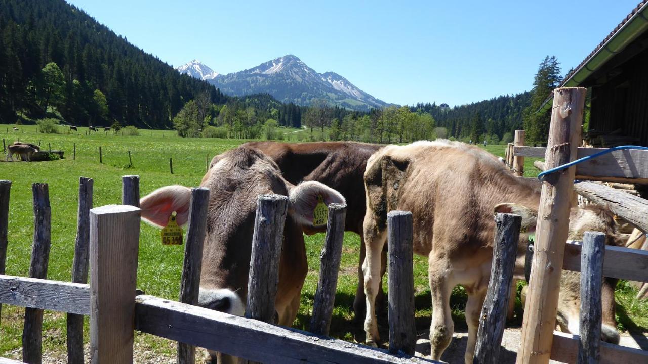 Fw Weissensee 44 ฟุสเซ่น ภายนอก รูปภาพ