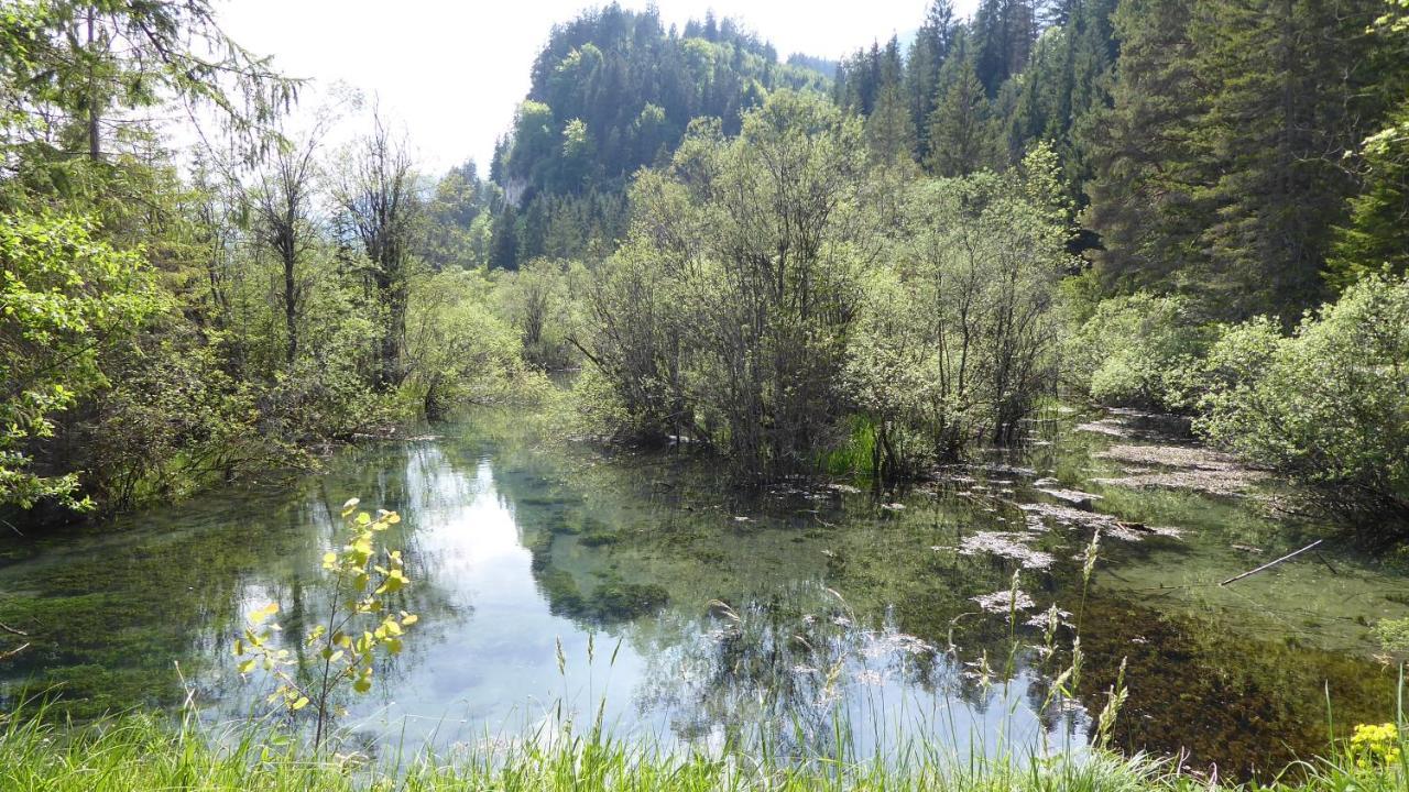 Fw Weissensee 44 ฟุสเซ่น ภายนอก รูปภาพ