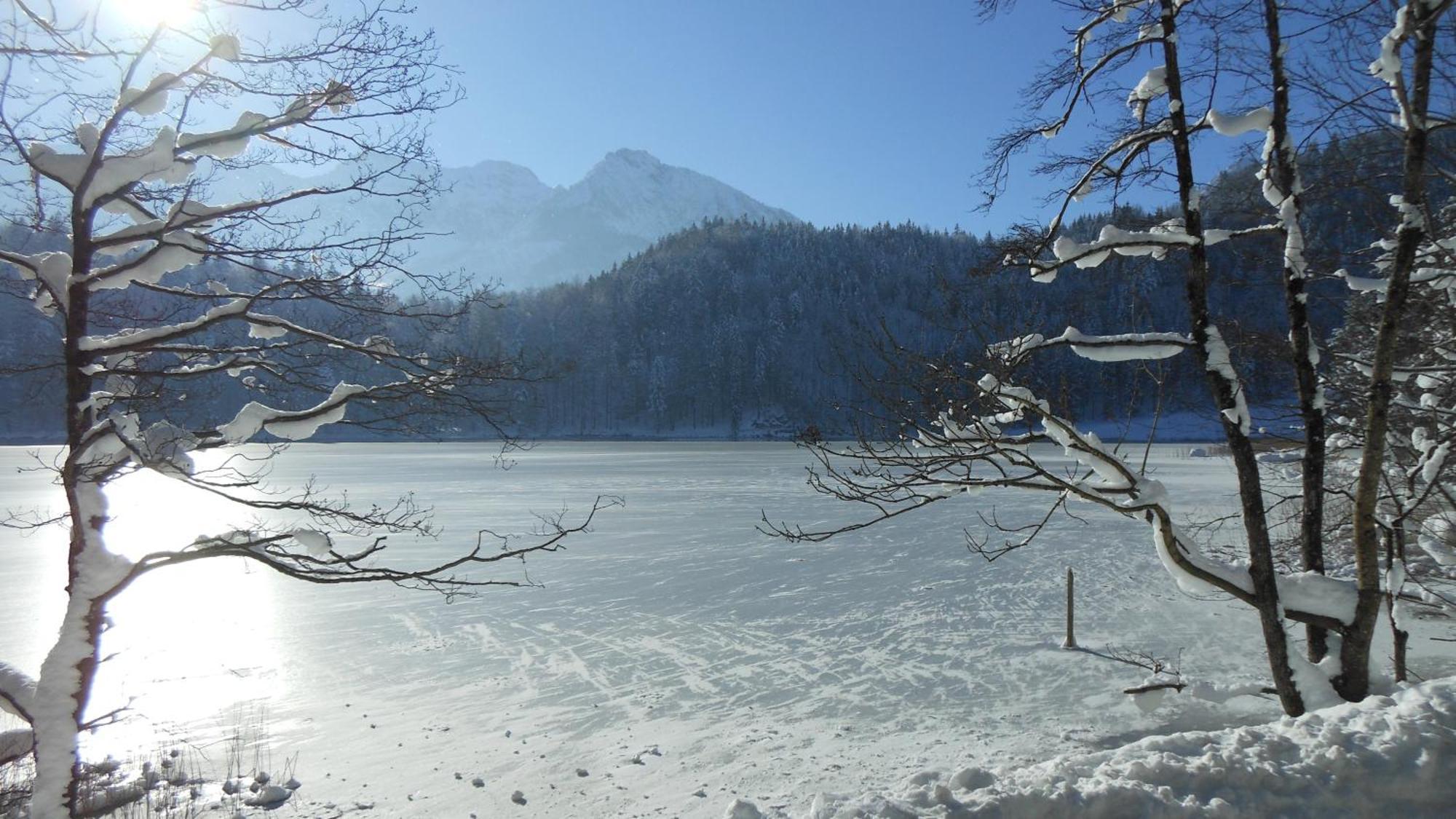 Fw Weissensee 44 ฟุสเซ่น ภายนอก รูปภาพ