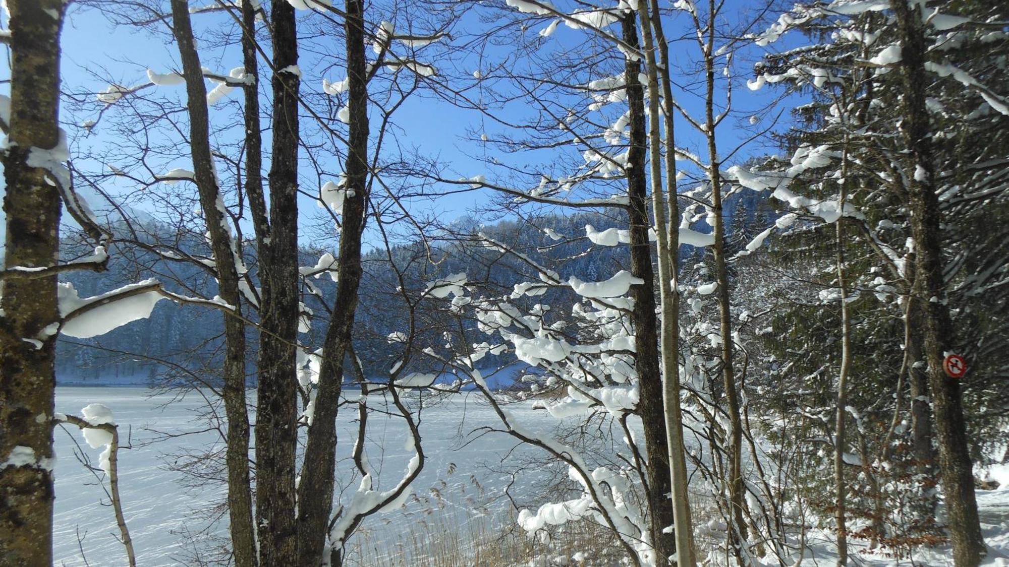 Fw Weissensee 44 ฟุสเซ่น ภายนอก รูปภาพ